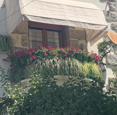 El balcón de Araceli