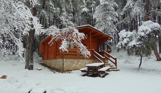 El Llano de los Conejos Cabins - Cabin 5