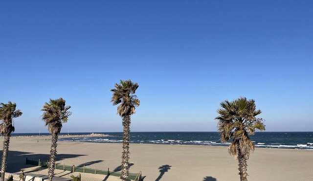 Elegant Renovated T3, Balcony Sea View, WIFI, Parking