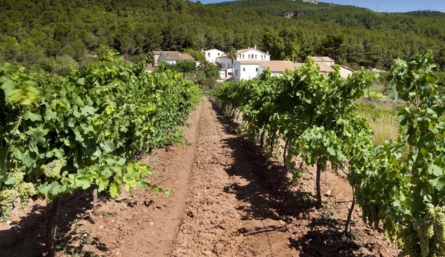 Finca Can Romeu: Alojamiento Rural Entre Viñedos