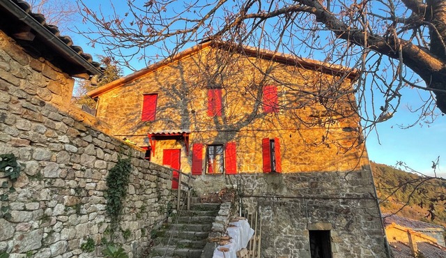 The house with the red shutters