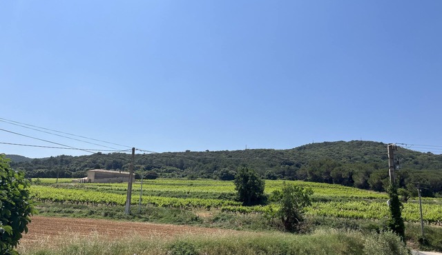 Gîte des oliviers