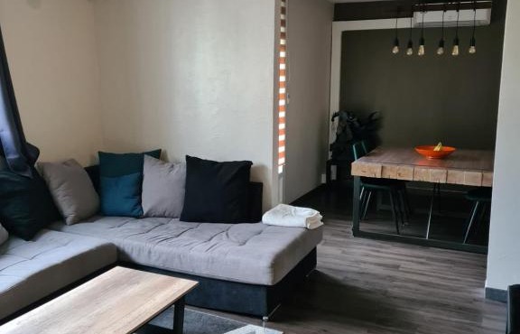 Grand appartement moderne et calme