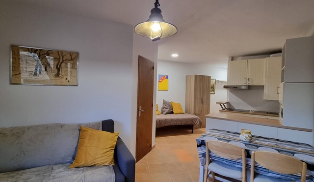 GRIZZLY 6-apt 1 hab-balco- 10 m piste-Pas de la Casa -005795