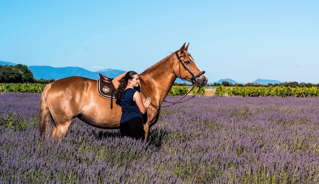Holiday Home 'Gîte Du Poney Fringant' with Private Terrace, Private Garden and Wi-Fi