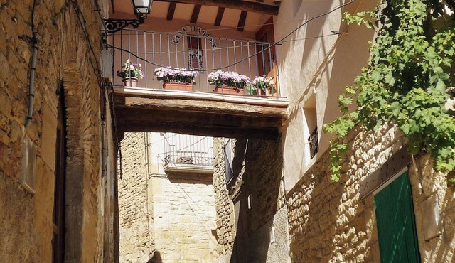 Homerez - Charming House in Orés