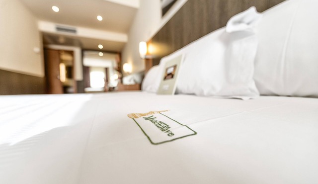 Hotel Maisonnave