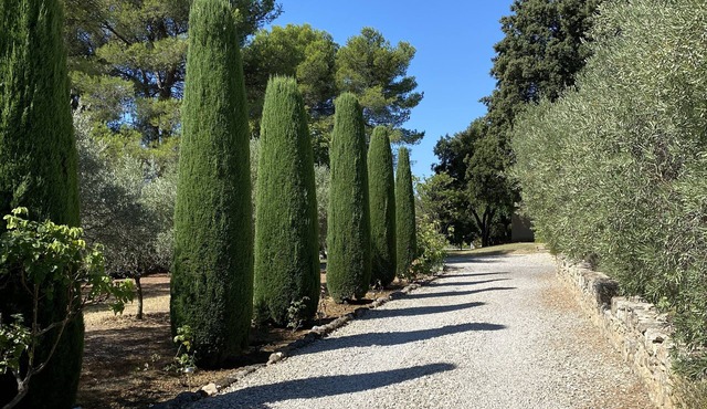 house with peaceful pool, south Luberon, between vineyards and olive trees
