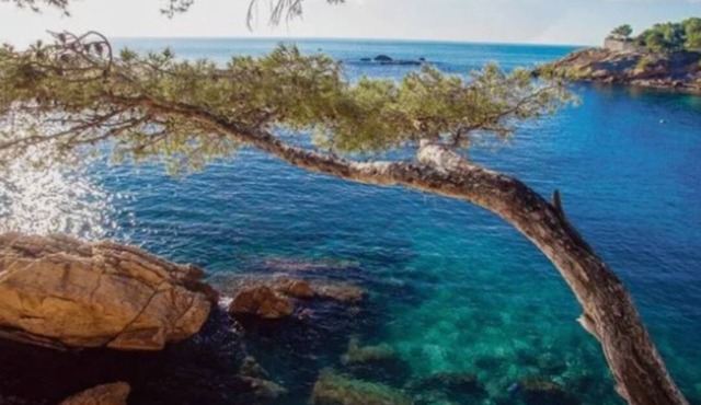IN THE HEART OF THE CALANQUE DE FIGUIÈRES