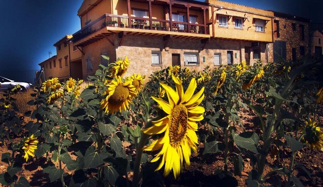 La Antigua Vaquería