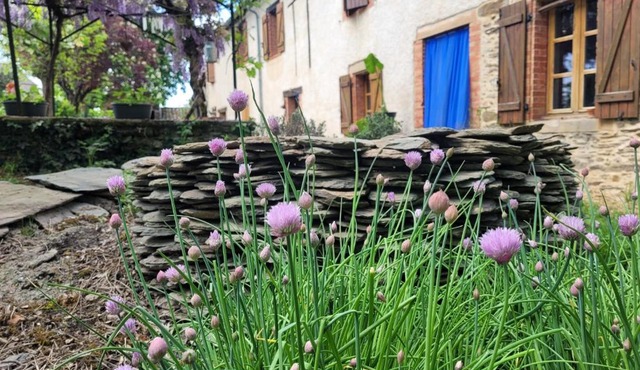 La ferme des grandes oreilles
