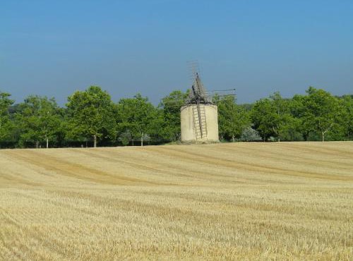 La mordorée