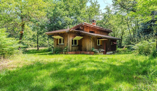 La Palombière – A Cozy Cabin for Ultimate Relaxation and Forest Views