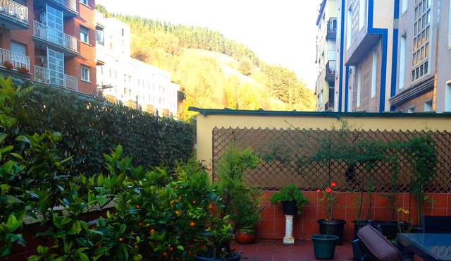 Large, cozy, quiet apartment and large terrace shared with owner