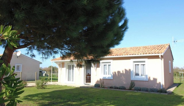 Le Pin Franc - VALEYRAC