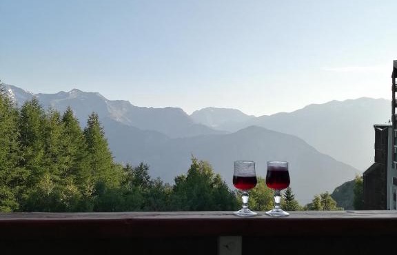 Les Bergers Alpe d'Huez Pied des pistes et piscine