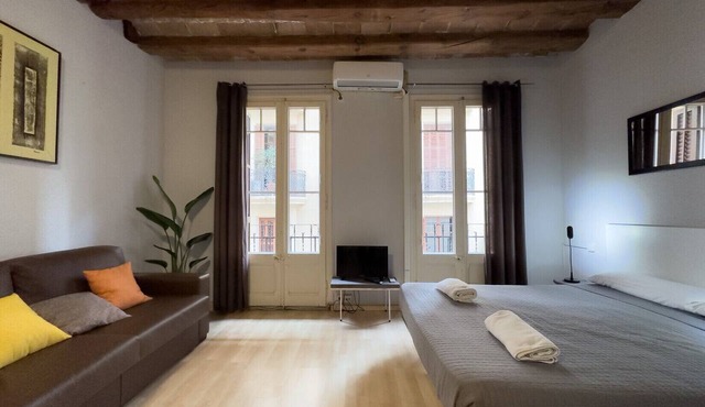 Lovely, cute, lightly and silent studio for rent in Gracia, Barcelona center