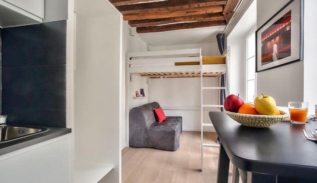 Lovely Mezzanine Studio in the Heart of Paris 3M