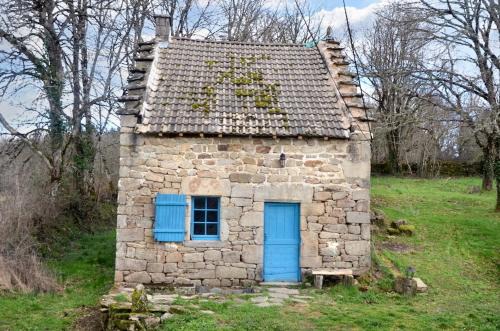 Maison charmante à Meyrignac-l'Église avec cheminée