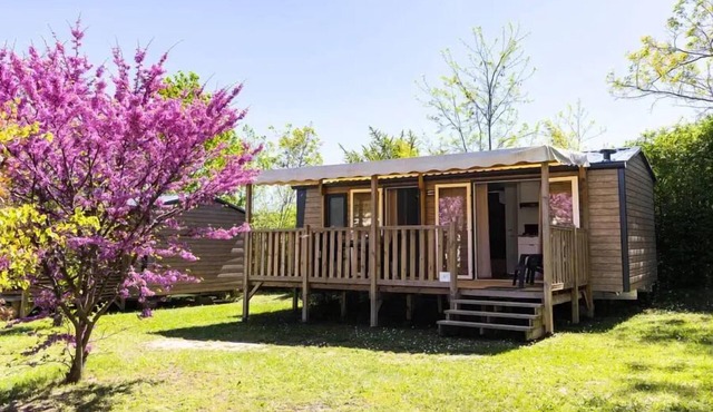 Mobile home Ciela Privilège - 2 bedrooms - Dishwasher, barbecue 4 persons
