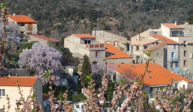 PANORAMIC TERRACE under the SOUTH SUN
