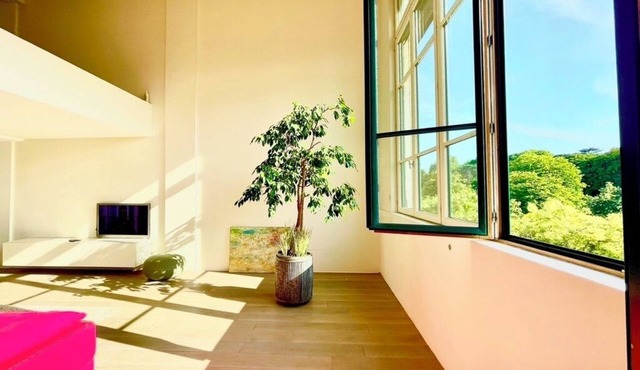 Paris: Very large loft with breathtaking park view! RER direct to airport.