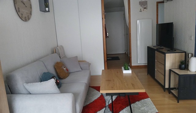 Pleasant, comfortable apartment for 4 adults and 2 children