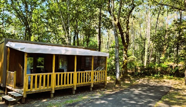 Premium 3-Room Mobile Home for 4 People + TV
