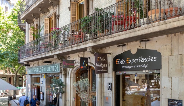 Primavera Hostel