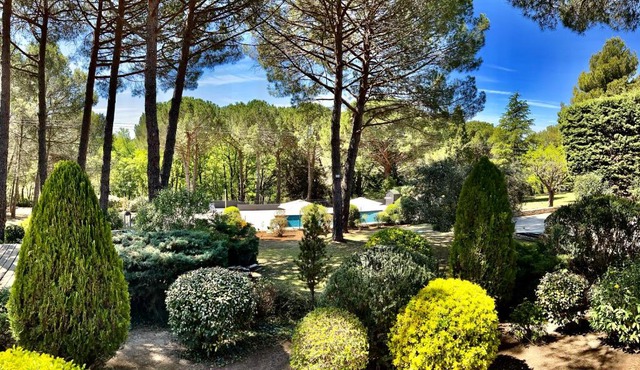 Provence mon amour