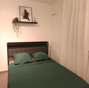 Renovated apartment exceptional price LDLC Arena Groupama Stadium