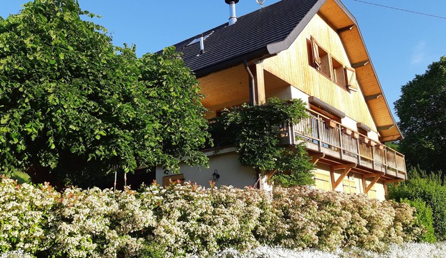 Renovated Savoyard farmhouse with outdoor SPA