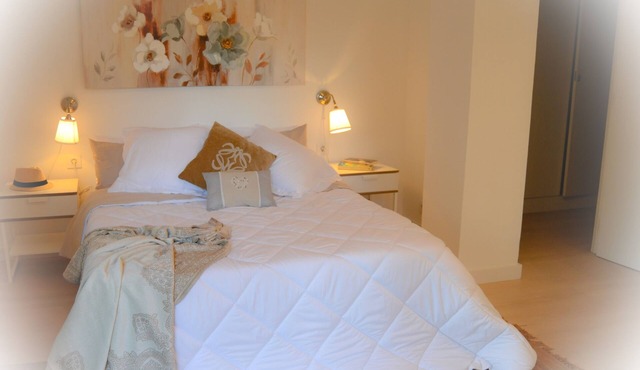 SPECIAL OFFER Central apartment in Logroño