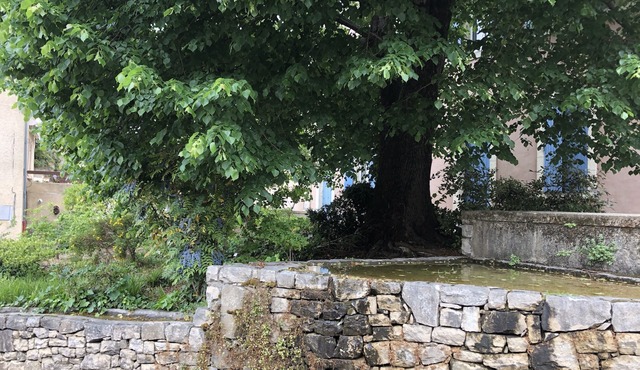 Stone village house