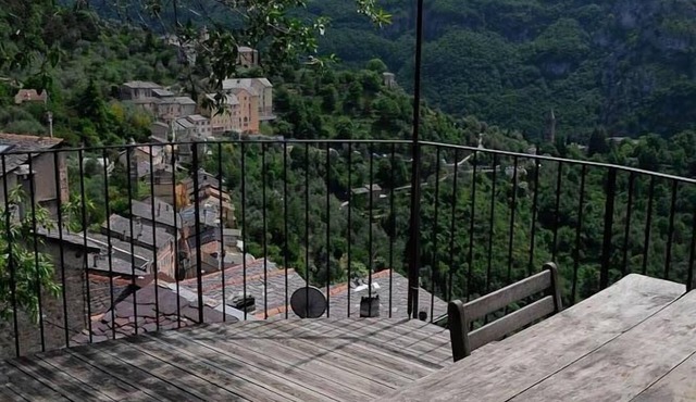 Stone village house with large terrace 1 /2h Mercantour /French riviera