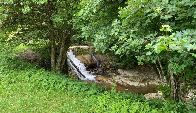 Studio avec foret, jardin et une cascade - Lac d'Annecy