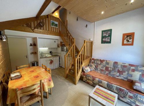 Studio-cabine-mezzanine exposé sud avec navette gratuite, casier à skis et tout confort - FR-1-787-28
