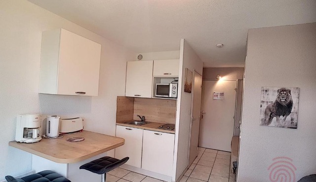 Studio rénové, proche centre-ville et thermes, avec jardin, WIFI, animaux acceptés - FR-1-451-62