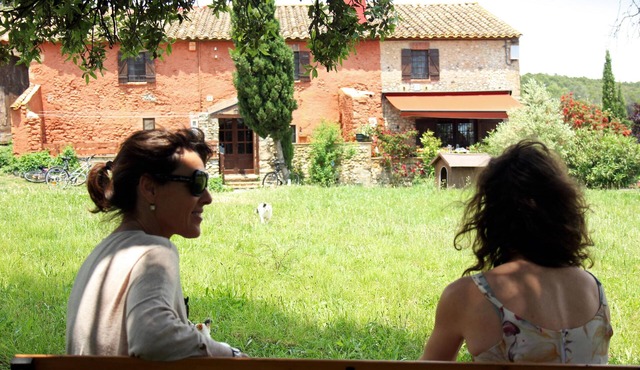 Stylish, very spacious farmhouse with all the comforts for 17+ people