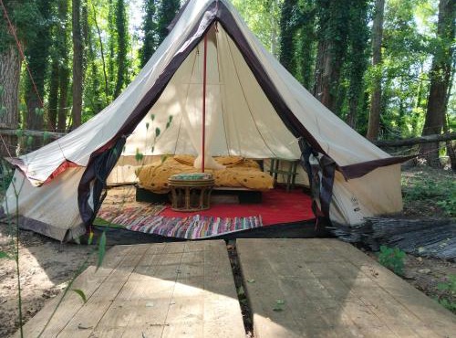 tente type yourth dans les bois