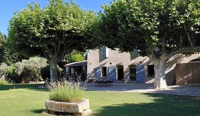 The essentials in Provence