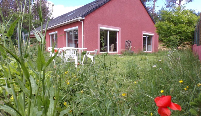 The Pink Pavilion