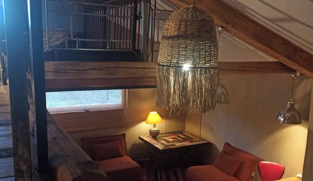 Vacation rental 20 minutes from Sisteron for 2 people. Dogs allowed. View of the valley