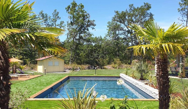 Villa 5 étoiles : Piscine chauffée, 24 pers., proche lac Parentis-en-Born - FR-1-877-50