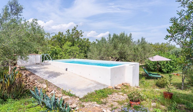 Villa "Casa en Olivera" 3 km from the coast with private pool and Wi-Fi