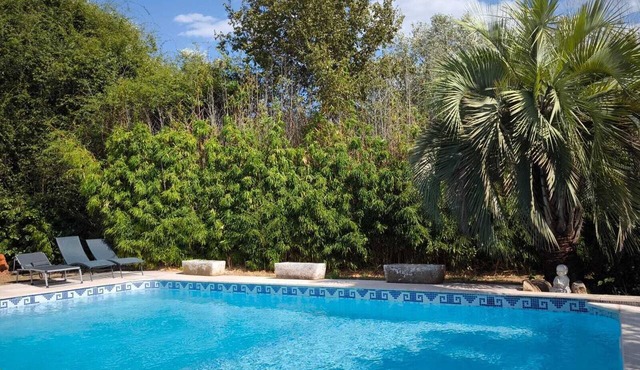 Village Center 1 Spacious Suite Pool Access 10Mx5M Lunch Included