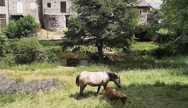 Village house, Margeride hiking base, 170 m², sleeps 13–17 people. Apartments + Duplexes: Lowest Prices