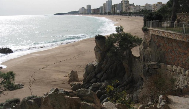 Zona Centro Cerca De Mar