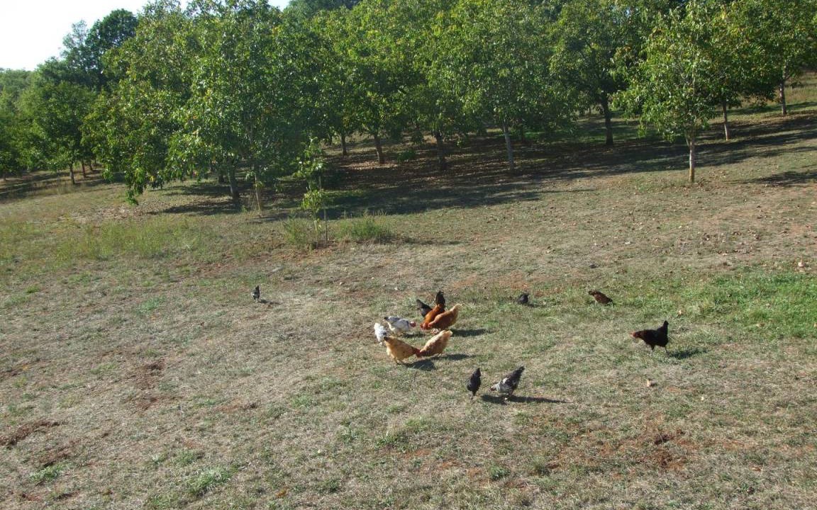 Photo of Others in Gignac
