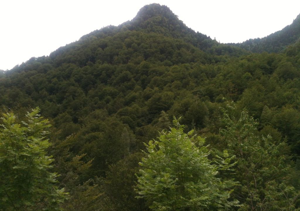 Photo of Outdoor in Guzet Neige